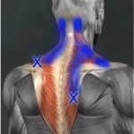 back