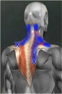 back
