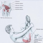 Glut med and max pirif stretch