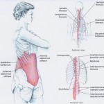 back rotation stretch