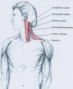 Neck stretch 1